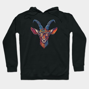 Specs of the Wild Hoodie